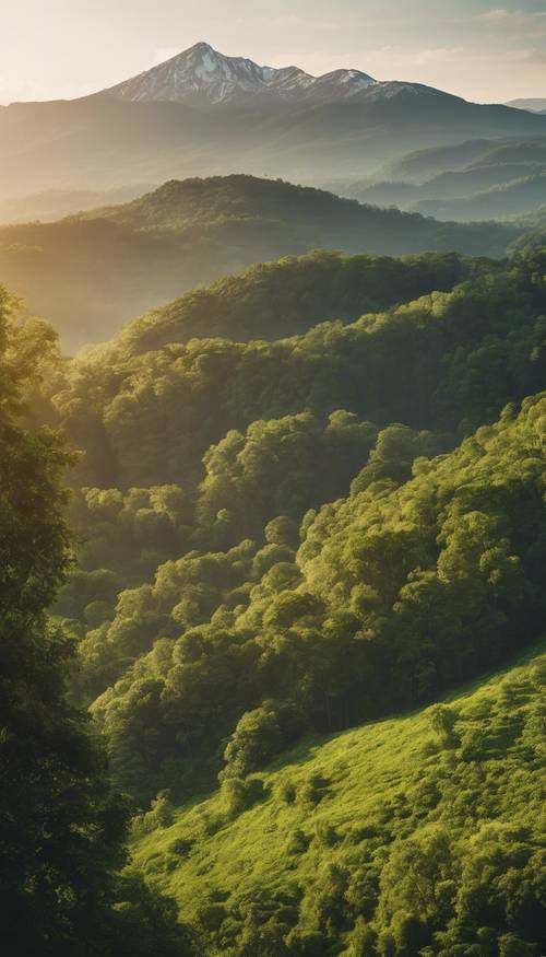 Uma paisagem ao nascer do sol apresentando uma cordilheira branca coberta por exuberantes florestas verdes na base.