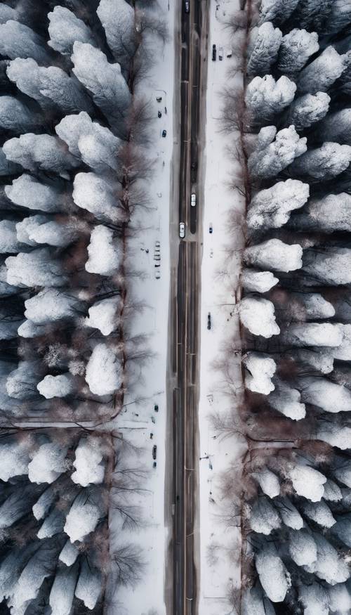 Luftaufnahme des winterlichen Chicago, wobei eine Schneeschicht die Gebäude, Straßen und Parks bedeckt. Hintergrund [18badcb594814d68bf87]