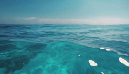 Una distesa di oceano tropicale, una gradazione perfetta dal turchese al blu intenso del mare.