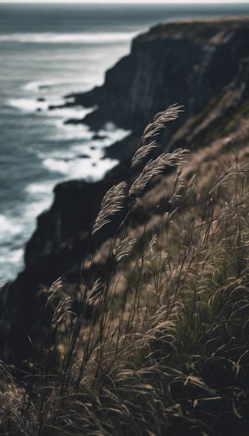 Deep black grass growing above a sweeping cliff by the ocean, under stormy skies. Tapet [5b555e8edeb242888b89]