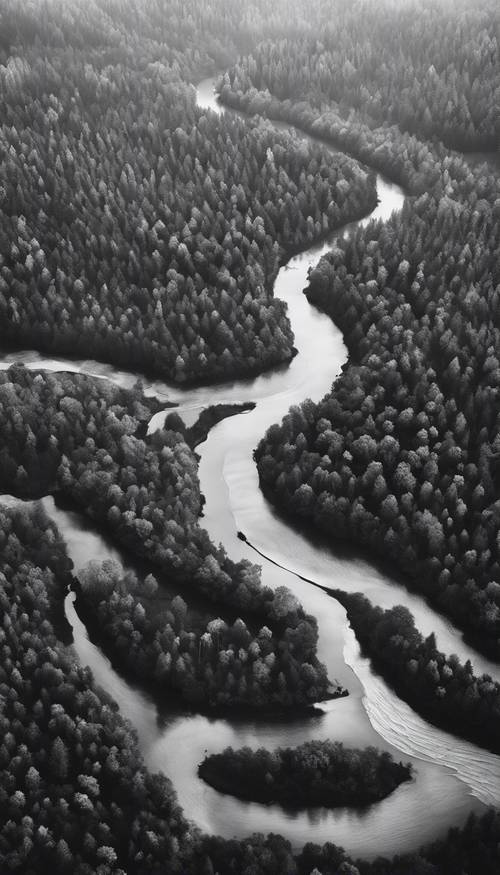 An aerial view of a winding river and surrounding forest in black and white.