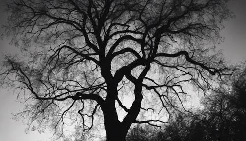 Siluet gelap pohon saat senja, ditampilkan secara artistik dalam palet monokrom.