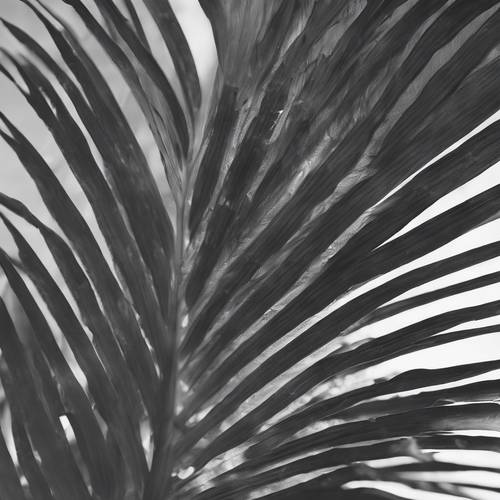 An intricately-detailed palm leaf in grayscale.