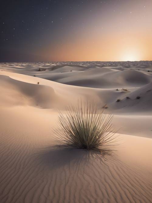 Um contraste poético no deserto, onde a areia branca e escaldante encontra as dunas frescas iluminadas pela lua.