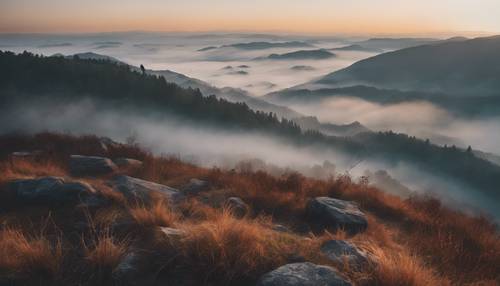 A view from the top of a foggy mountain at early dawn.