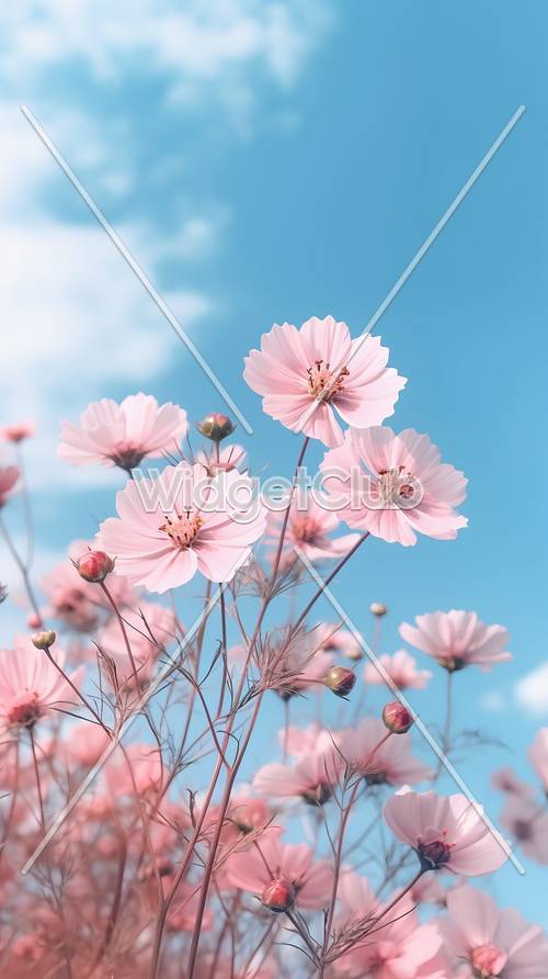 Pretty Pink Flowers Under a Blue Sky