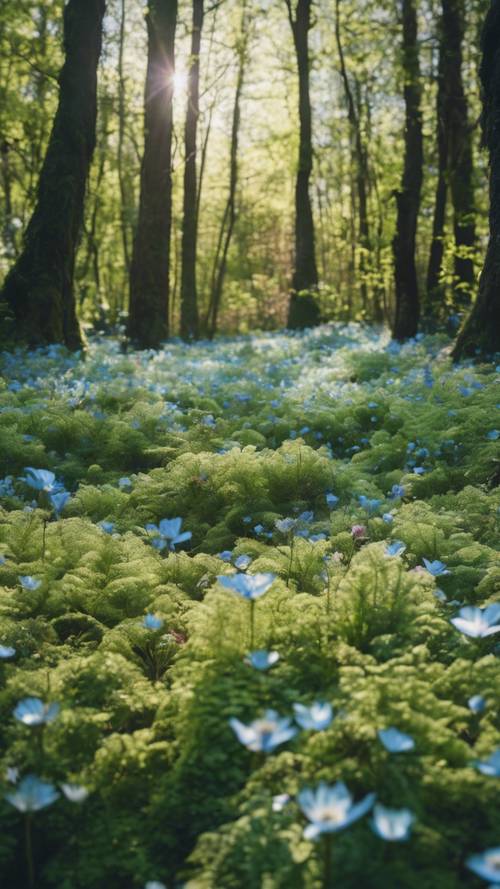 一片僻静的森林空地，盛开着天蓝色花瓣和苔绿色叶子的花朵。