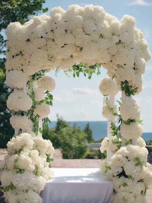 Ołtarz ślubny pięknie ozdobiony białymi hortensjami pod gołym niebem.