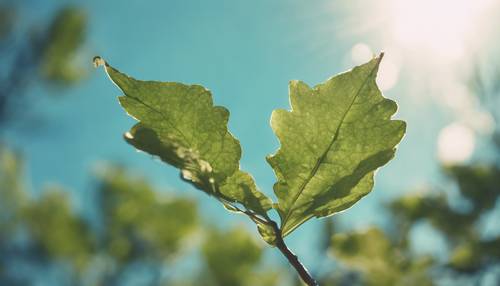 Uma folha verde salva caindo em câmera lenta contra um céu azul vibrante.