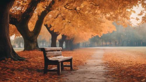 A rustic wood bench under the fiery canopy of an autumn tree.