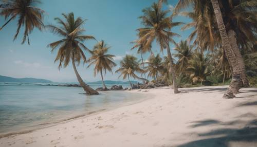 A beach scene with blue coconut palm trees.