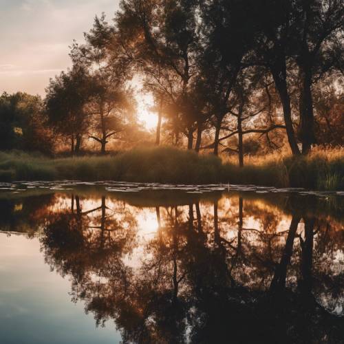 迷人的日落倒映在僻靜的天然池塘平靜的水面上。