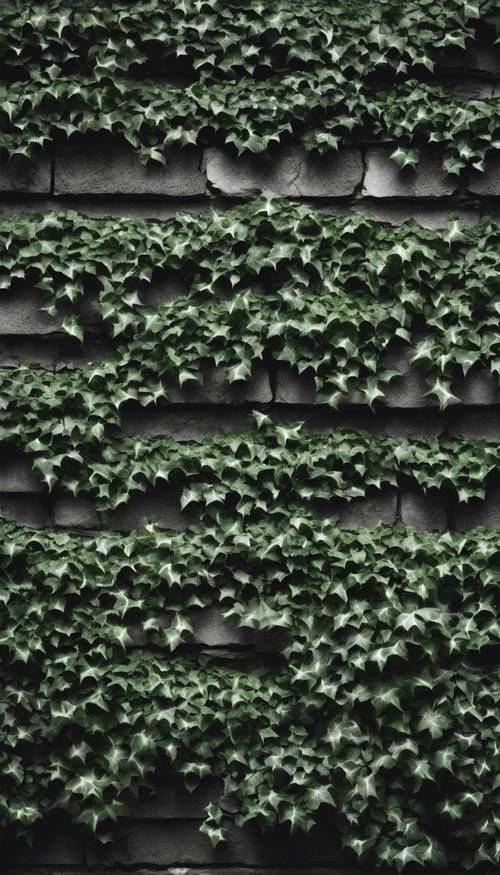Một bức tường gạch đen trắng cũ phủ đầy cây thường xuân