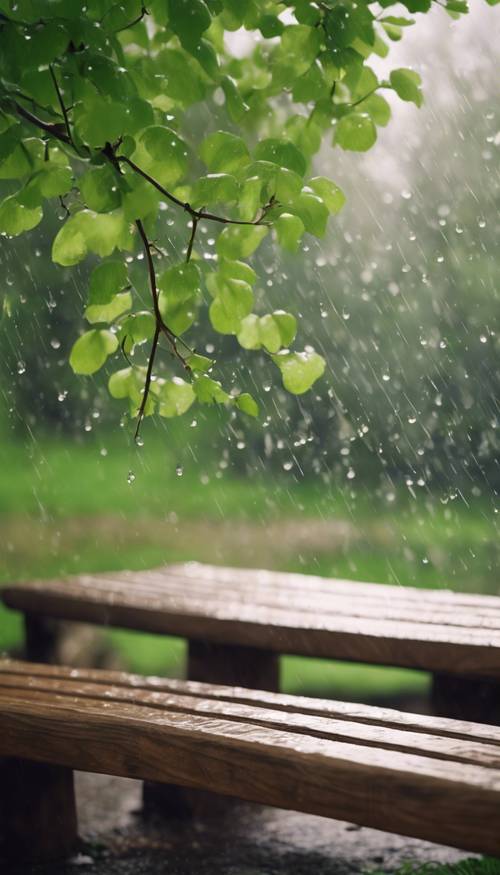 公園の木製ベンチにそっと降り注ぐ春の雨、緑が輝く葉っぱ