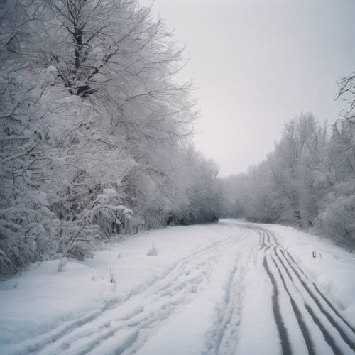 冬季的一条蜿蜒道路，中间的白色条纹在雪下几乎看不见。