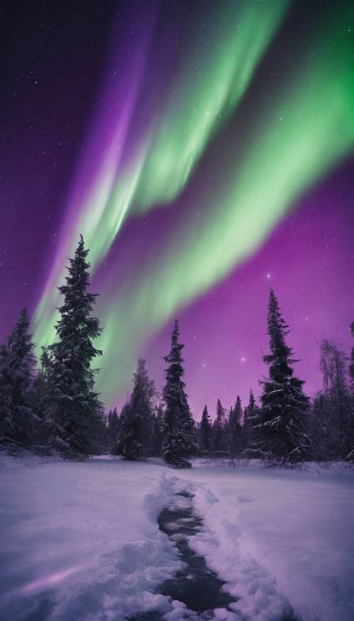 Northern lights dancing across the canvas of a purple night sky. Tapet [7d1e01ecf25d45f4b0aa]