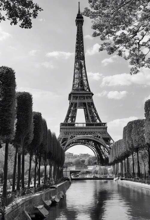 Uma imagem em preto e branco de alto contraste da Torre Eiffel vista ao meio-dia.