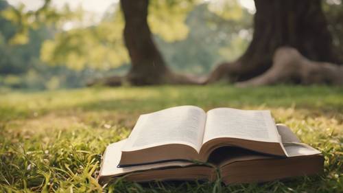 Une vue paisible d&#39;un livre ouvert posé sur l&#39;herbe à l&#39;ombre d&#39;un arbre, l&#39;environnement serein faisant écho à la phrase « Savoir ne suffit pas ; il faut appliquer. Souhaiter ne suffit pas ; il faut agir ».