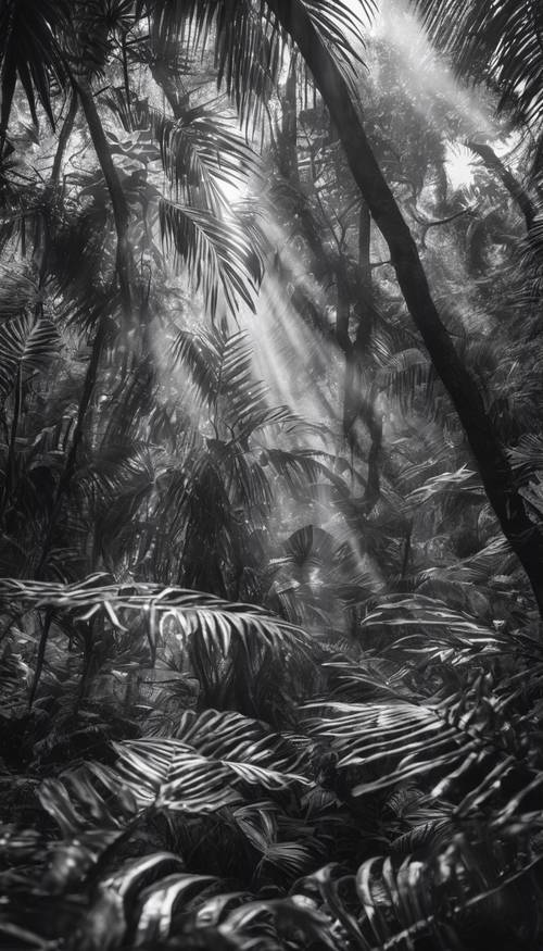 Una toma detallada en blanco y negro de una densa jungla con innumerables hojas y árboles a través de la cual se filtra la luz del sol moteada.