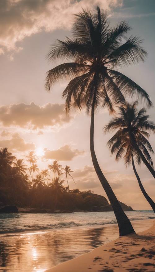 Palmiye ağaçlarıyla gün batımı sırasında doğal bir tropik plaj
