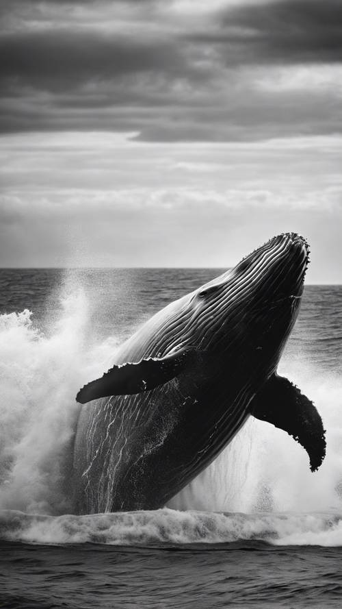 Un drammatico schizzo in bianco e nero di una gigantesca balena che salta fuori dalle onde del mare agitato.