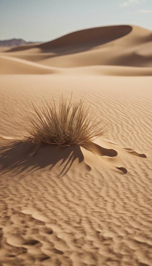 Pemandangan gurun, menonjolkan tekstur pasir yang kasar dan kecokelatan.
