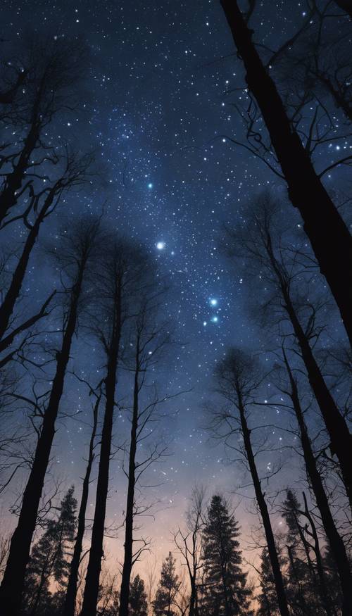 황혼의 실루엣이 있는 숲 바로 위에 하늘에 반짝이는 신비로운 짙은 파란색 별입니다.