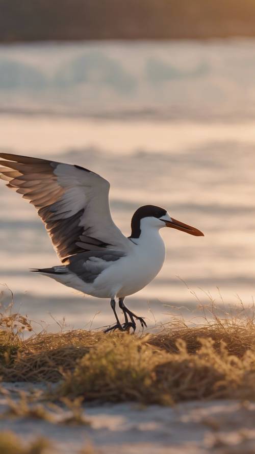 A valiant seabird returning to its nest after a successful hunt during sunrise.