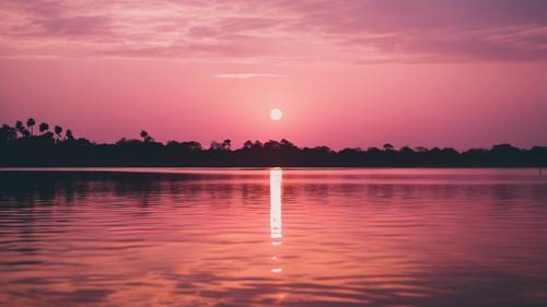 風景如畫的粉紅色和金色日落倒映在寧靜的潟湖水面上。