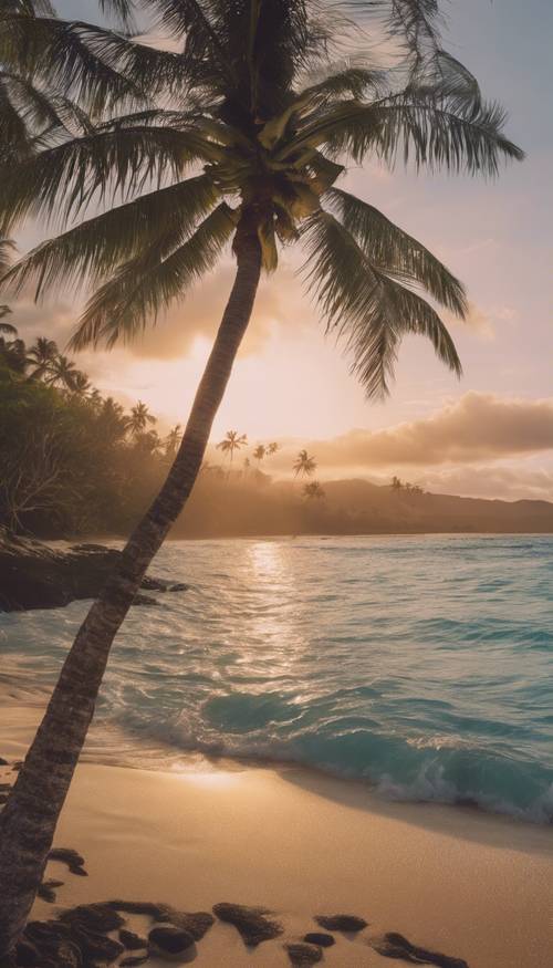 Una vista panorámica de una puesta de sol sobre las aguas cristalinas de una playa hawaiana, con palmeras meciéndose suavemente con la brisa del atardecer.
