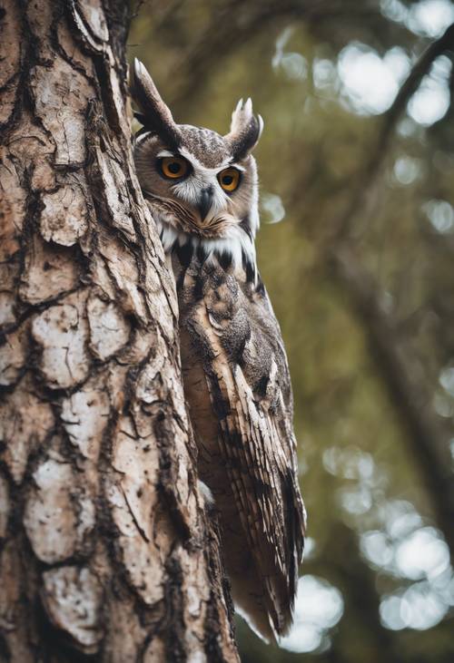 An owl camouflaged against the bark of its favorite tree Tapeta [d96aac98425343ae90ff]