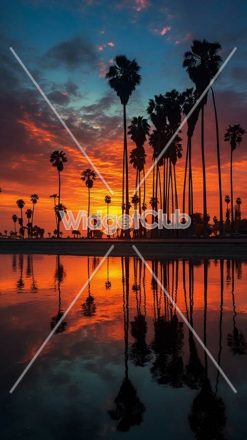 Stunning Sunset and Palm Trees Reflection