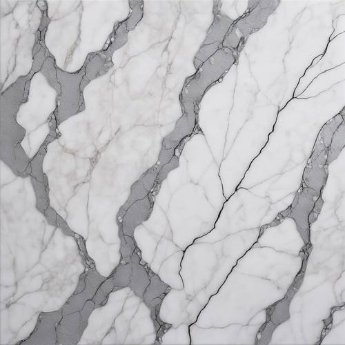 흰색 대리석 슬라브에 은맥의 독특하고 유기적인 분포를 포착한 패턴입니다.