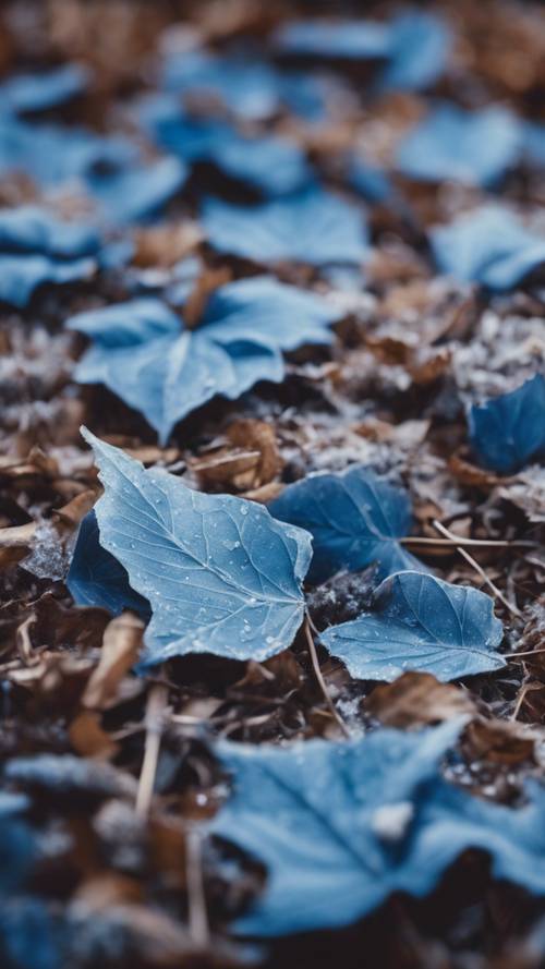 Una disposizione artistica di foglie blu appena cadute sul terreno gelido.