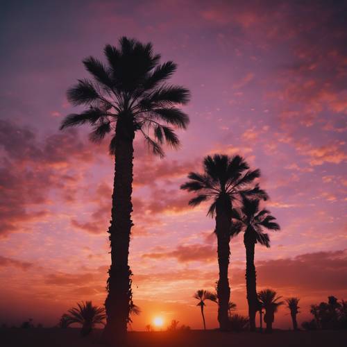 Matahari terbenam yang membara di atas Gurun Sahara, siluet pohon palem yang gelap berdiri di langit yang dipenuhi warna oranye, merah, dan ungu