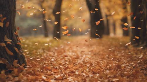 Hojas de otoño arremolinándose en el viento con la frase &#39;Acepto el cambio&#39; visible en el sinuoso sendero.