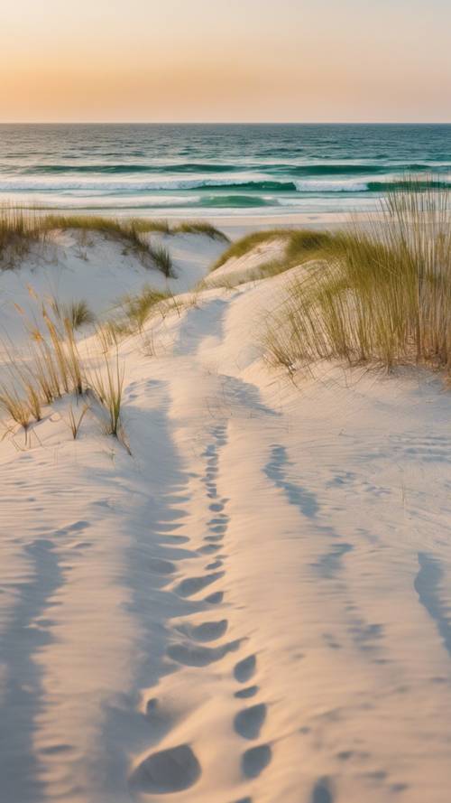 Toàn cảnh những cồn cát nhấp nhô ở Bãi biển Pensacola, phía sau là Vịnh Mexico.
