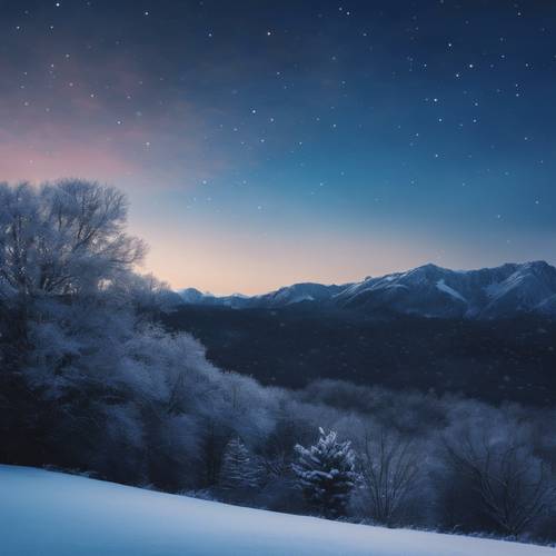 Uma representação de uma cena de inverno com o céu crepuscular exibindo um ombre azul escuro. Papel de parede [e46ca0aa9f1f45708af5]