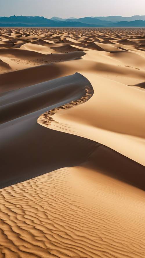 サハラ砂漠の明るい青空の下に広がる、黄金色の砂粒でできた砂丘