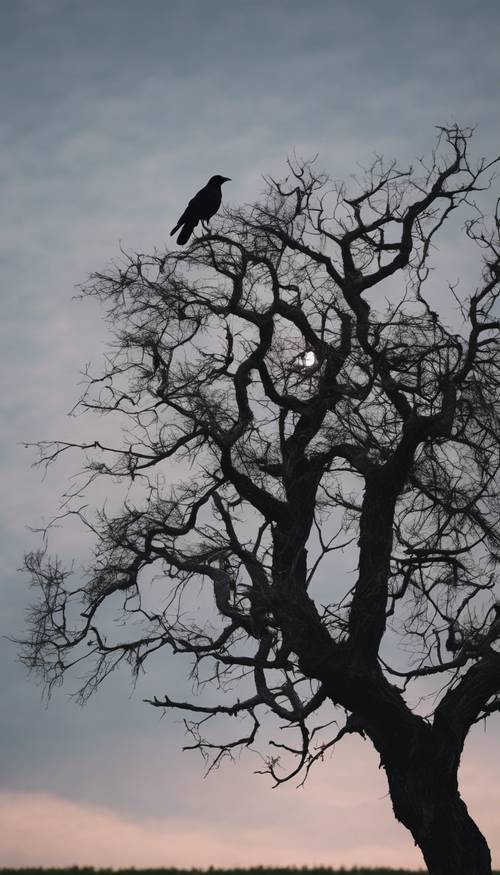 A single crow perched on a plain black tree in the dusk.