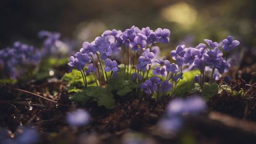 Sepetak bunga violet bermekaran di lantai hutan yang rindang.