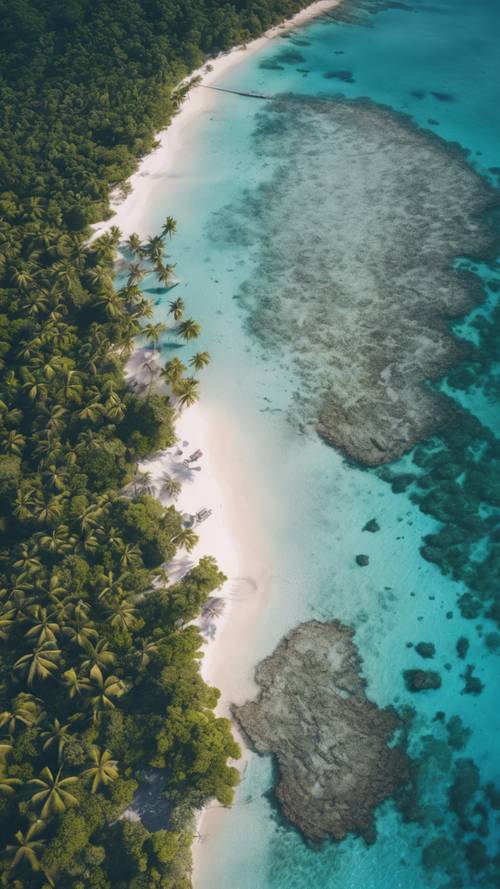 Una vista de pájaro de una isla tropical aislada, rodeada de arrecifes de coral y un océano azul profundo.