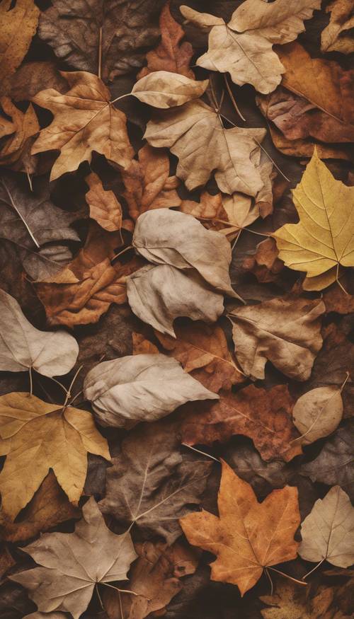 Un collage complexe de feuilles d&#39;automne dans des teintes neutres et atténuées.