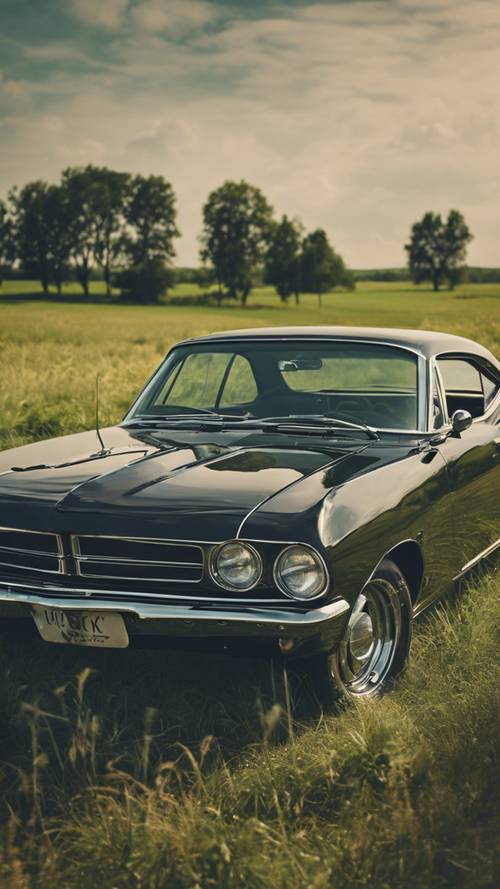 A classic 1960s black muscle car parked on a green countryside grassland.