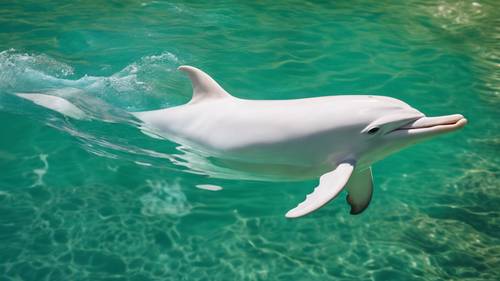Un raro delfín albino emergiendo a la superficie en una laguna aislada, su impecable piel blanca brillando contra el agua verde esmeralda.