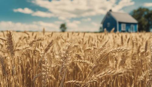Một họa tiết kỳ lạ mô tả cánh đồng lúa mì vàng nhạt dần dưới bầu trời mùa hè xanh tươi sáng vang vọng với vẻ đẹp yên bình của phong cách nhà nông thôn.