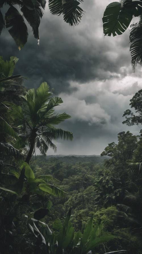 Una minacciosa nube temporalesca incombe sulla foresta pluviale incontaminata.