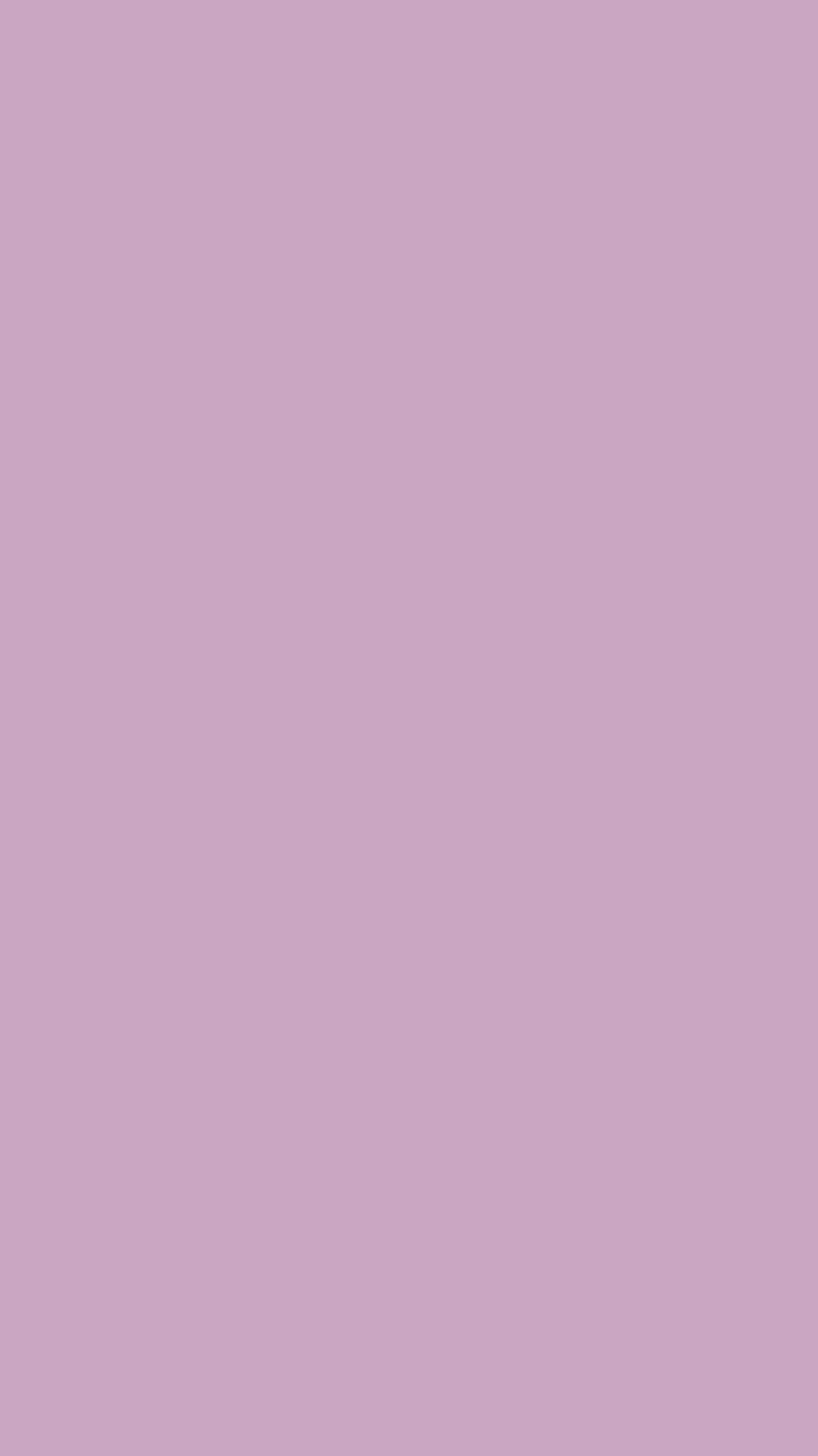 Pretty Purple Color Gradient Background Tapeta[05209048a4b64e72821d]