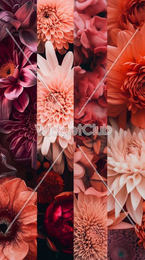 Beautiful Flowers in Vibrant Colors Tapeta [3b5a085cb6c443dbaab5]
