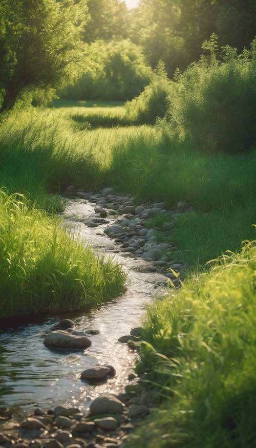 一條慵懶蜿蜒的小溪蜿蜒穿過陽光明媚、翠綠的夏季草地。